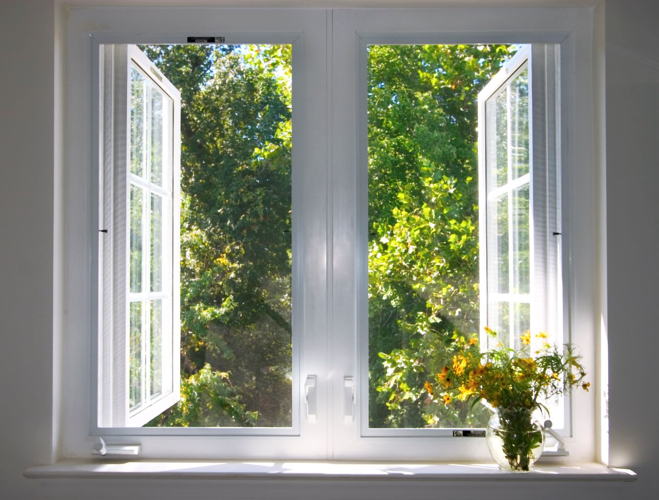 Fensterglas