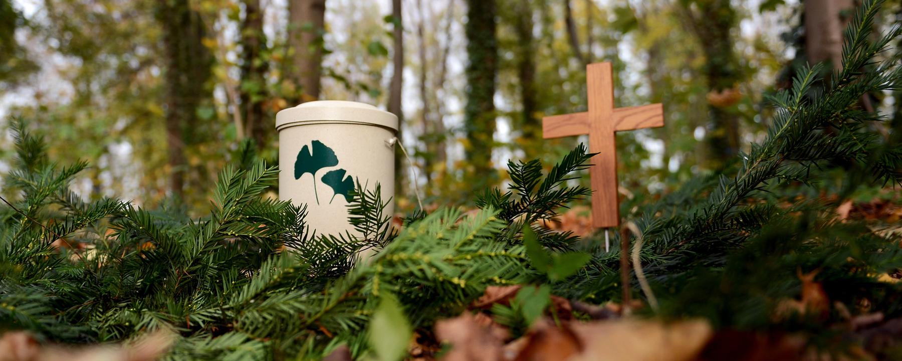 Nachher DEM Sterbefall: selbige Services sollten solche in Anspruch annehmen